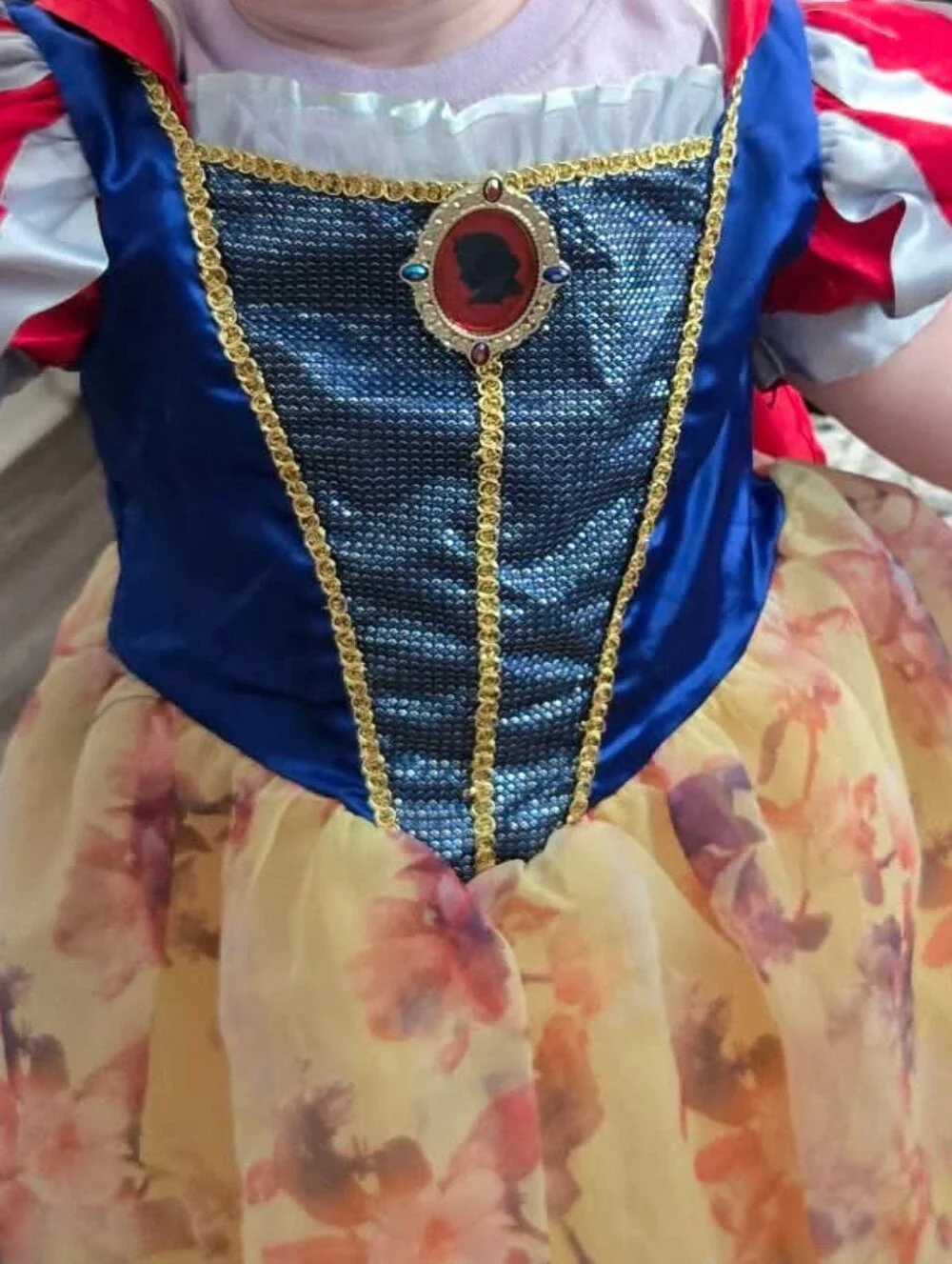Disney Blue and Red Princess Floral Costume Dress